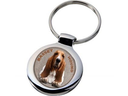 basset hound 163 601