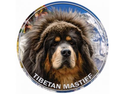 tibetan mastiff 230 601