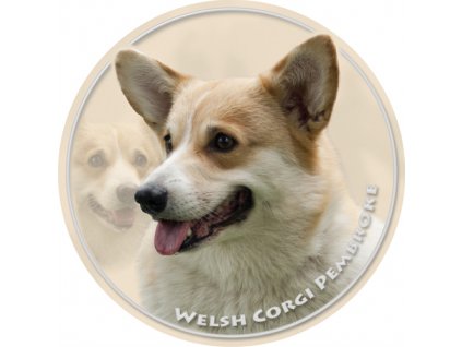 welsh corgi pembroke 039 501