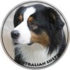 Nálepka Austrálsky ovčiak - Australian Shepherd