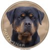 rottweiler 147 301 kopie
