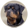 rottweiler 147 302