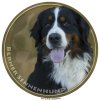 berner sennenhund 045 103 kopie