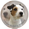 parson russell terrier 339 201