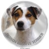 parson russell terrier 339 101 kopie