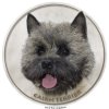 Nálepka Kernteriér - Cairn Terrier