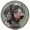 Nálepka Jazvečík - Dachshund - Teckel