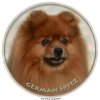 Nálepka Nemecký špic - German spitz