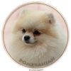 Nálepka Pomeranian