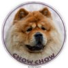 Nálepka Čau čau - Chow Chow
