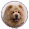 Nálepka Čau čau - Chow Chow