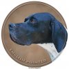 Nálepka Anglický pointer - English Pointer