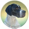 Nálepka Anglický pointer - English Pointer