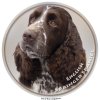 Nálepka Anglický špringeršpaniel - English Springer Spaniel