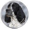 Nálepka Anglický špringeršpaniel - English Springer Spaniel