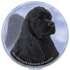 Nálepka Americký kokeršpaniel - American Cocker Spaniel