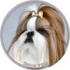 Nálepka Šicu - Shih Tzu