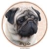 Nálepka Mops - Pug