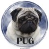 Nálepka Mops - Pug