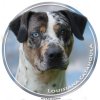 Nálepka Louisianský leopardí pes - Lousiana Catahoula