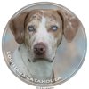 Nálepka Louisianský leopardí pes - Lousiana Catahoula