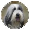Nálepka Bearded kólia - Bearded collie