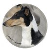 collie smooth 296 102