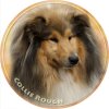 collie rough 156 501