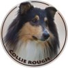 collie rough 156 502