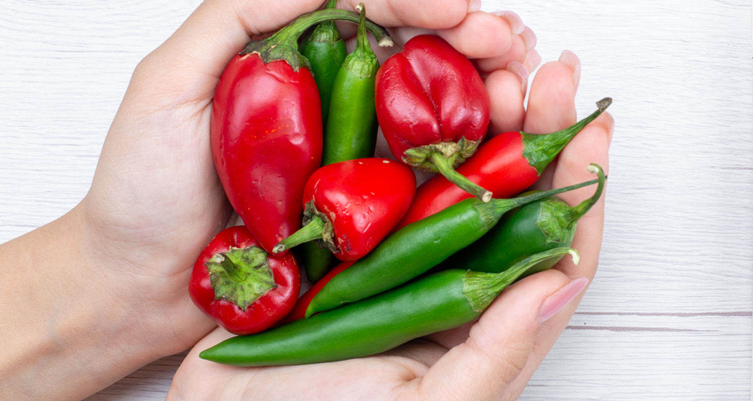 Nutriční hodnoty chilli papriček: vitamíny, vláknina a zdraví