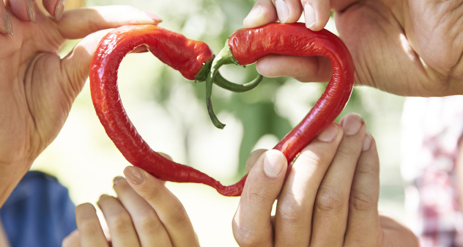 Léčivé účinky chilli: přírodní podpora zdraví