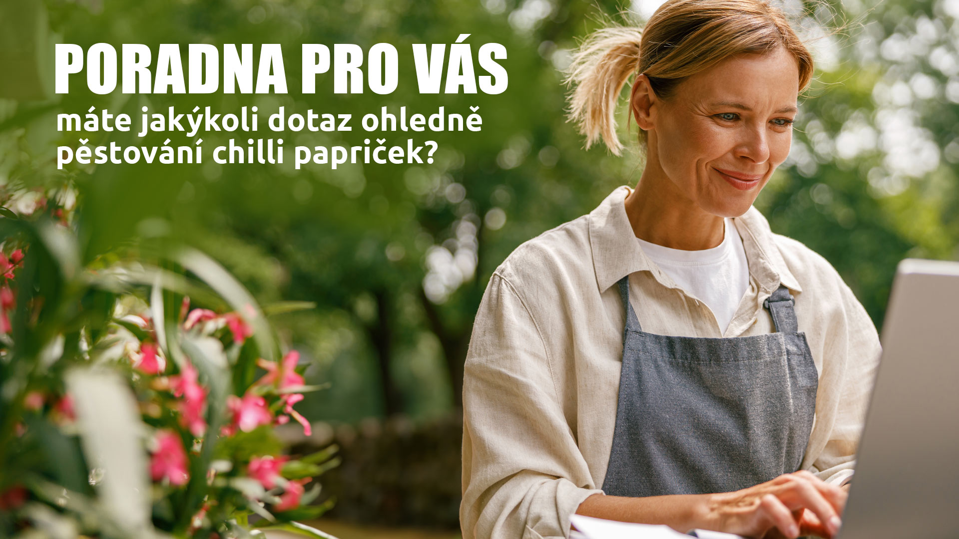 Chilli poradna