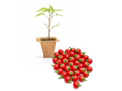 Ciliegia Piccante