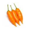 Aji Amarillo2