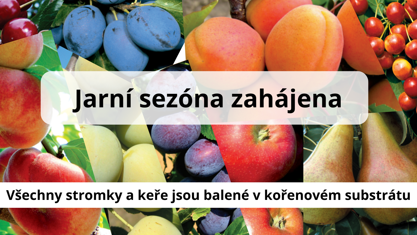 Proč nakupovat u nás?