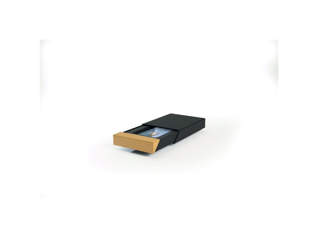 pisa coin case for one gold bar in blister format black