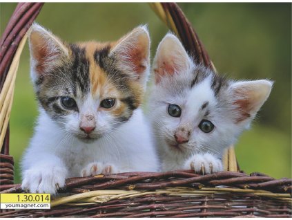 Magnetka Kočka domácí Košík plný něhy 1.30.014