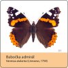 magnetka motyl babocka admiral