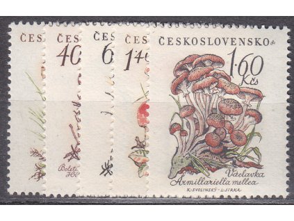 1958, 30h-1.60Kčs Houby, série, Nr.1018-22, **, ilustrační foto