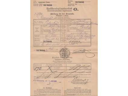 Domobranecká legitimace z roku 1916, Král. Vinohrady, A4