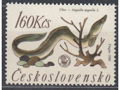 1966, 1.60Kčs Ryby, DV - "návnada" před úhořem, Nr.DV33/1, **