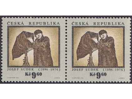 1996, 9.60 Kč Česká fotografie, DV - svislá ryska za "9" (1896), Nr.104, **
