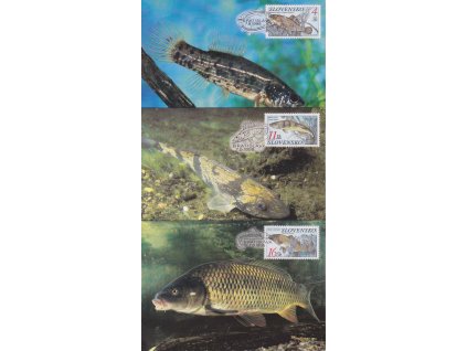 CM 22-24 Ochrana přírody - Ryby
