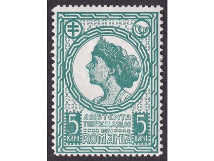 1913, 5 B Boj proti tuberkulóze, * po nálepce, příspěvková známka