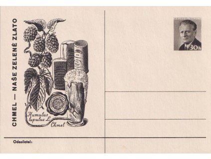 CDV 143 Chmel - naše zelené zlato