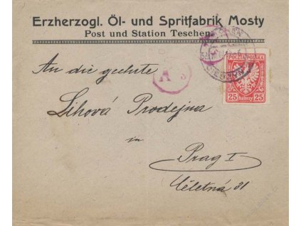 1919, DR Teschen, firemní dopis vyfr. zn. 25H Znak