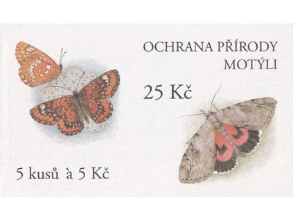 2xIMG 0031