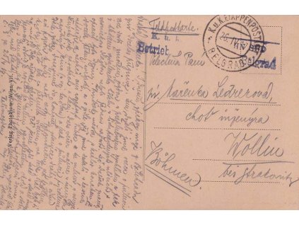 Belgrad f, pohlednice zaslaná v roce 1917 do Volyně, hezké