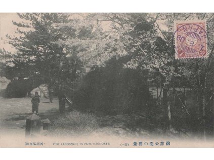 Japonsko, 1909, pohlednice vyfr. zn. 1 Sn, neprošlé