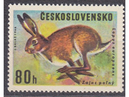 1966, 80h Zajíc, II.typ, Nr.1570, **